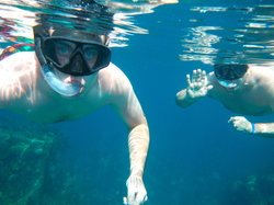 Snorkel Bermuda